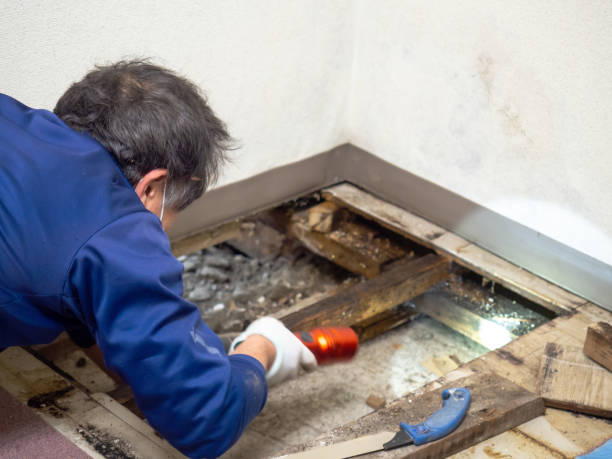 Best Mold Testing  in Enlow, PA