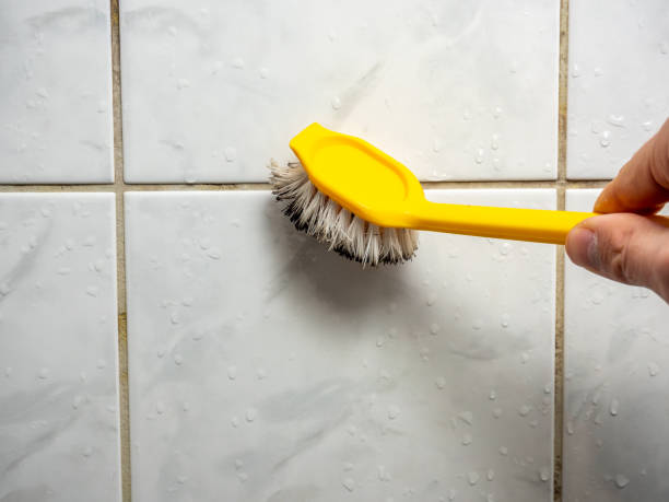 Best Certified Mold Removal  in Enlow, PA