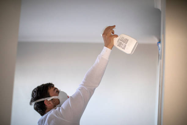 Best Residential Mold Removal  in Enlow, PA