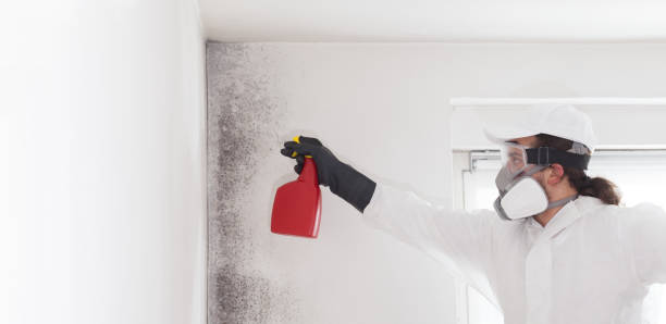 Best Crawl Space Mold Removal  in Enlow, PA